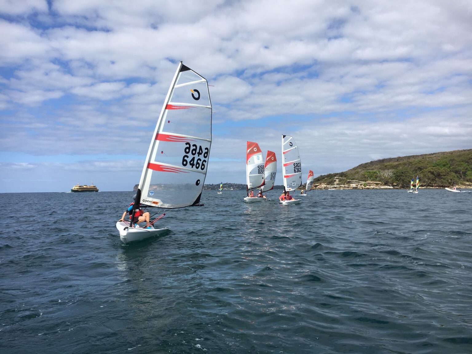 3 Day Sailing Camp (1115yrs) Wildlings