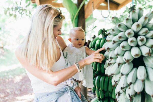 Tropical fruit world experience